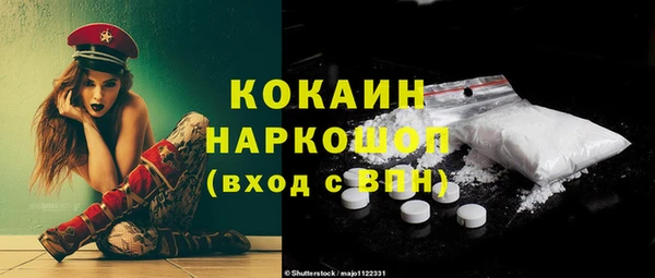 apvp Алексин