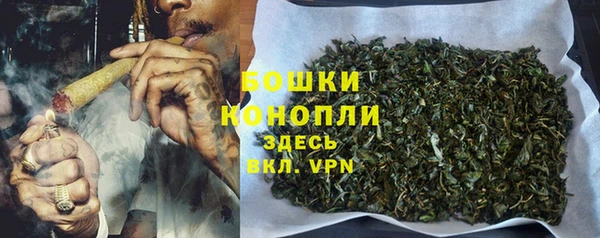 амф Снежинск