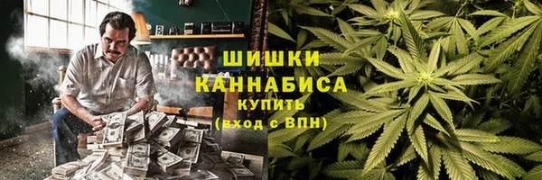 apvp Алексин