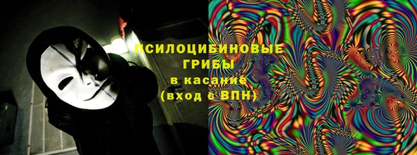 мяу мяу кристалл Гусь-Хрустальный