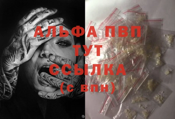 apvp Алексин