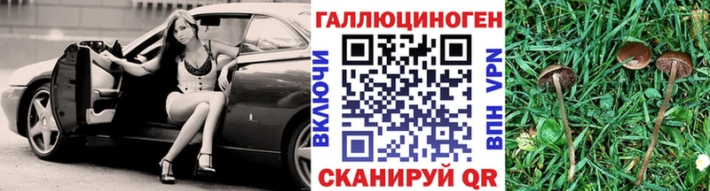 Галлюциногенные грибы ЛСД Дудинка
